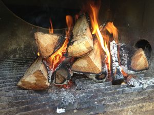 Pecan Wood Fire | Love and Smoke Barbecue