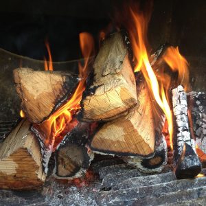 Pecan Wood Fire | Love and Smoke Barbecue